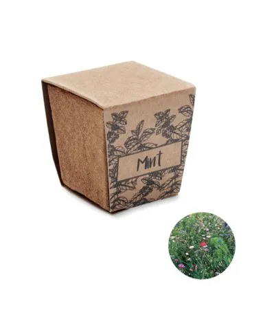 Kit de graines de menthe MINT KIT