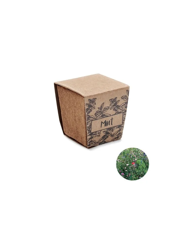 Kit de graines de menthe MINT KIT