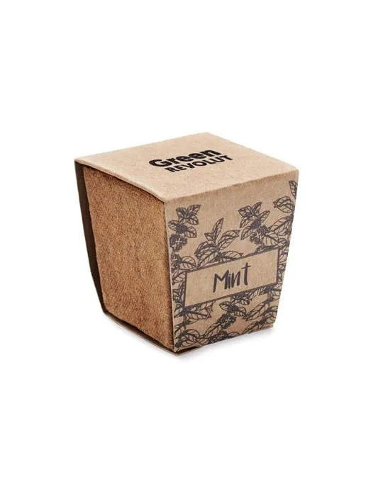 Kit de graines de menthe MINT KIT