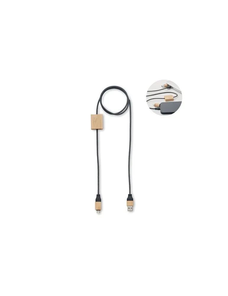 Câble de chargement 60W CABOO