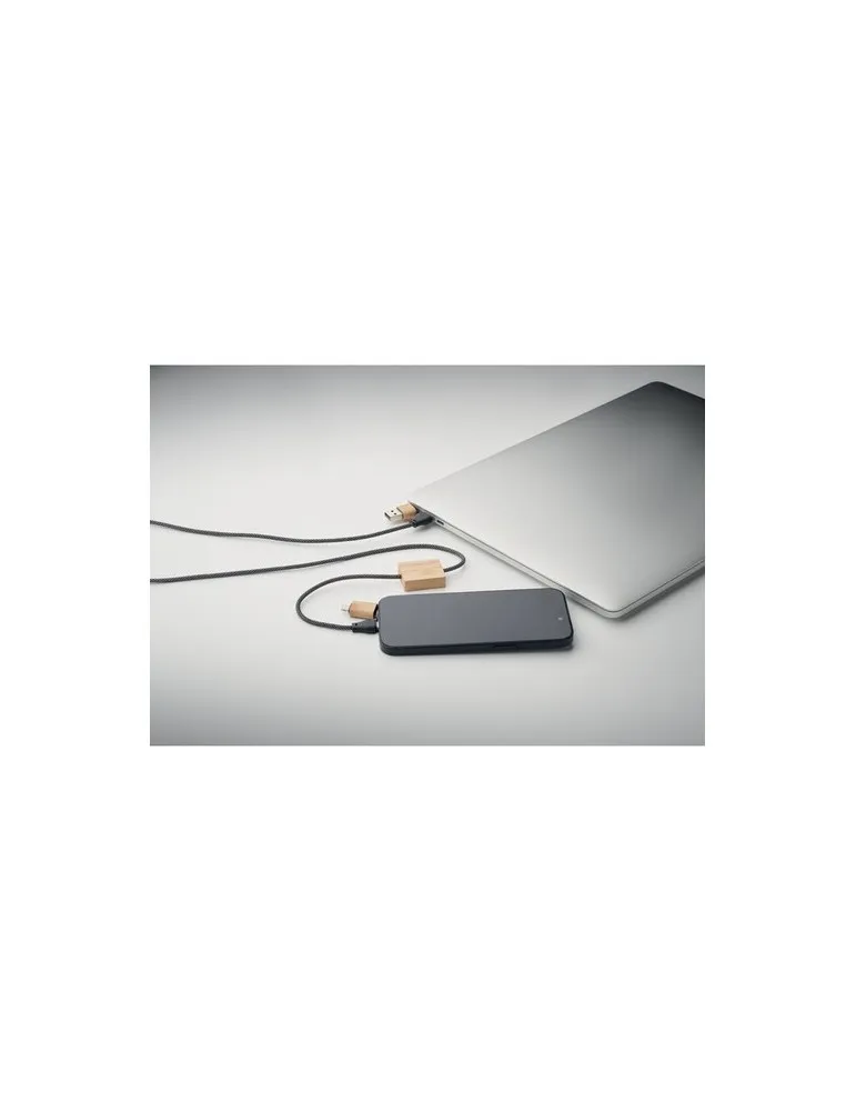 Câble de chargement 60W CABOO