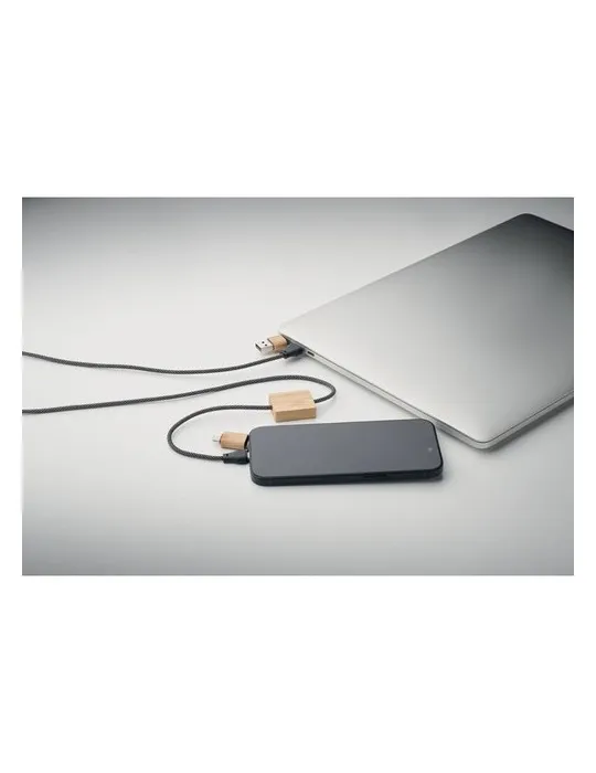 Câble de chargement 60W CABOO