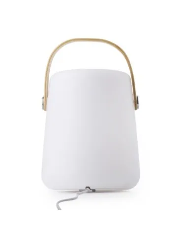 Enceinte double sans fil lumineuse 2