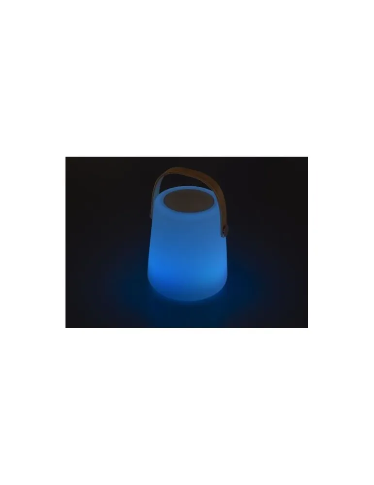 Enceinte double sans fil lumineuse