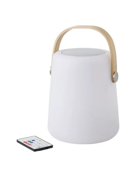 Enceinte double sans fil lumineuse