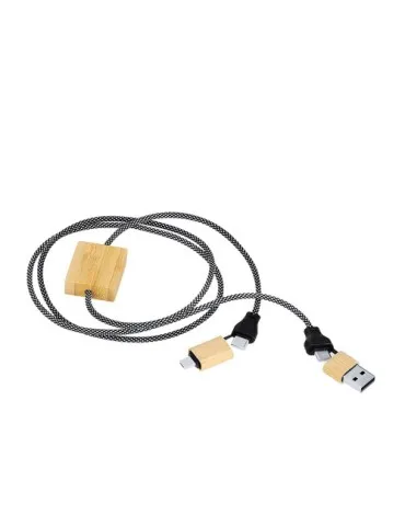 Câble de Charge Segers 2