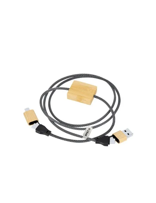 Câble de Charge Segers