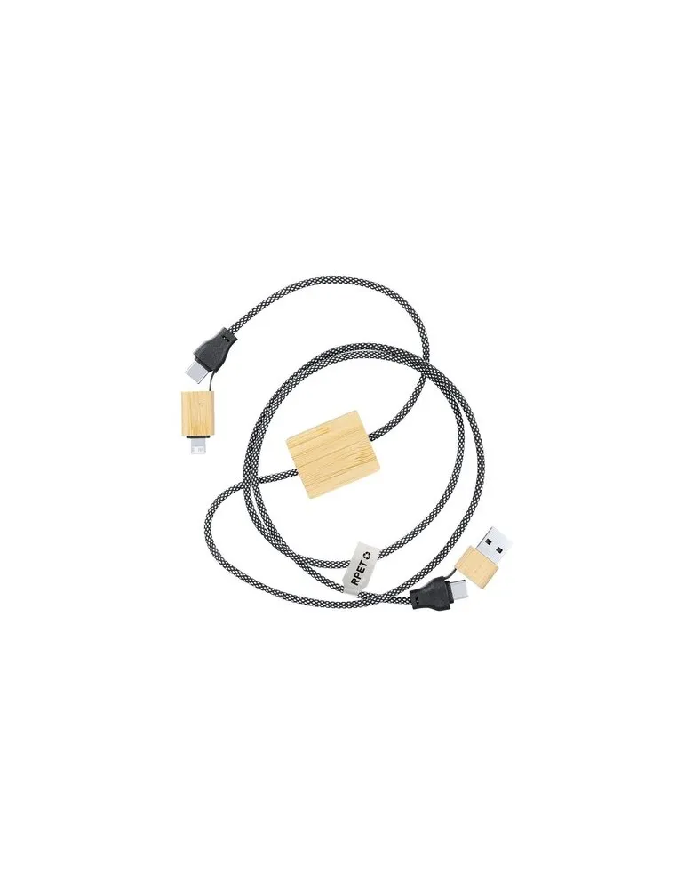 Câble de Charge Segers