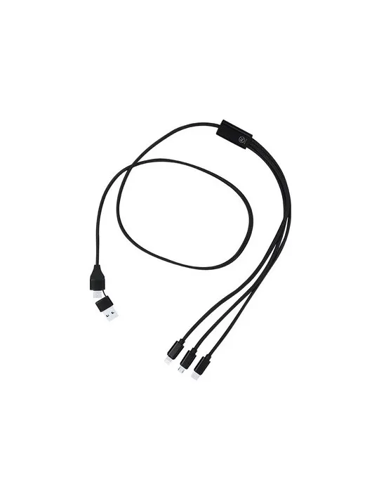 Câble de Charge Clodan