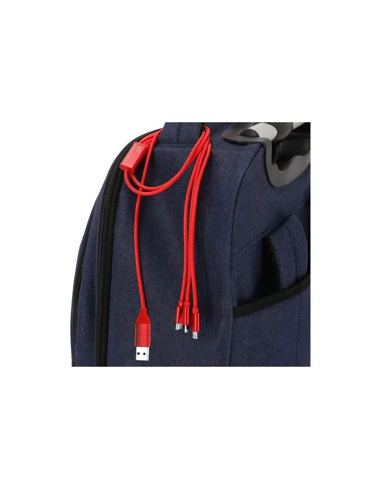 Câble de Charge Clodan