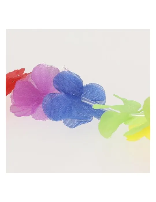 Collier Hawaïen Punder