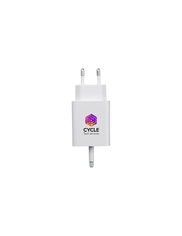 2-in-1 RCS Cable Charging Set Ens. de charge