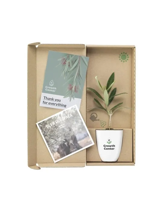 Treemore Arbres prêts-à-poster L'olivier