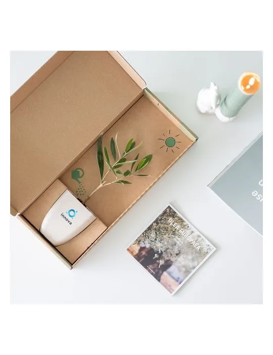 Treemore Arbres prêts-à-poster L'olivier