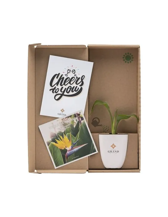 Treemore Arbres prêts-à-poster Plante Oiseau du Paradis