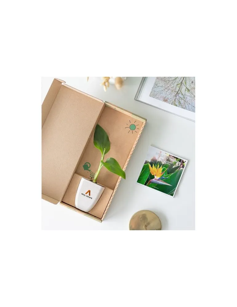 Treemore Arbres prêts-à-poster Plante Oiseau du Paradis