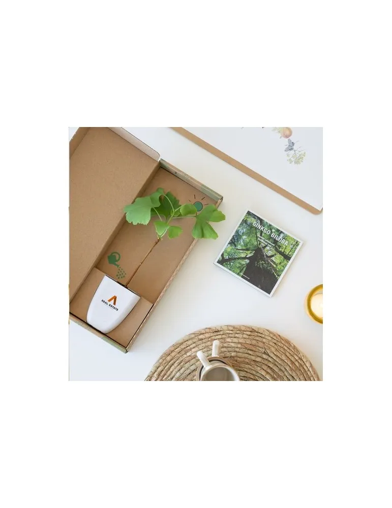 Treemore Arbres prêts-à-poster Arbre Noyer du Japon