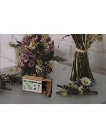 Green Balls mini-écosystème