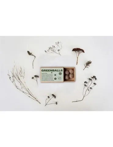 Green Balls mini-écosystème 2
