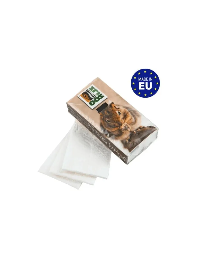 Paquet de mouchoirs en papier