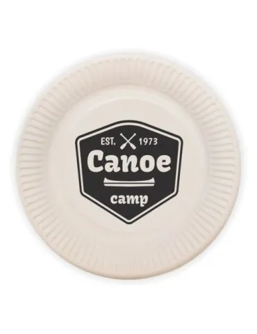 Grande assiette en carton 2