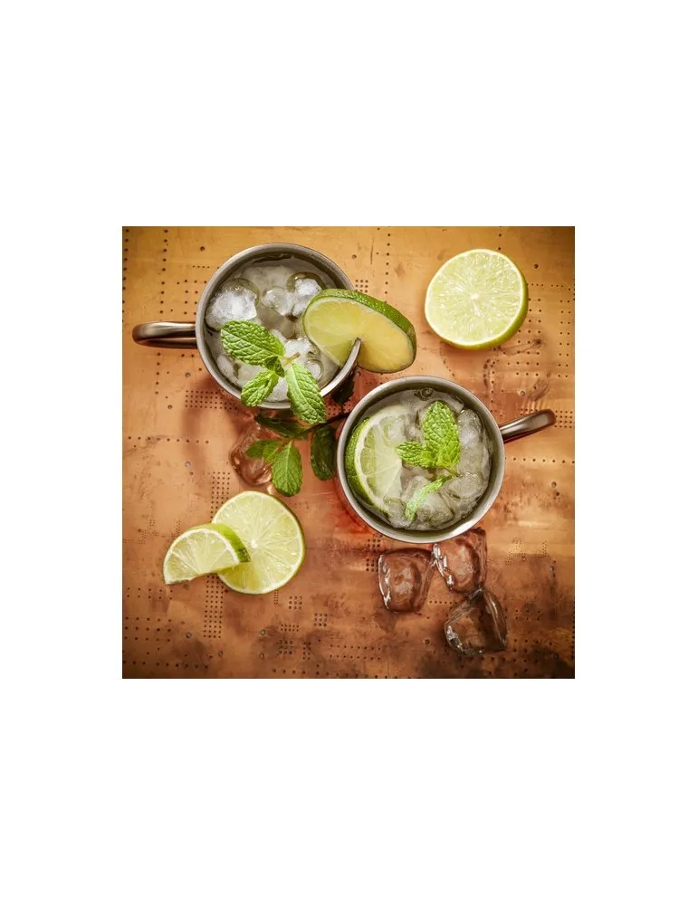 IsoMug RCS Recycled Steel 300 ml