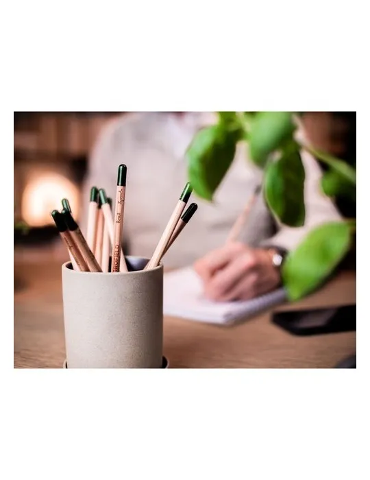 Sproutworld Unsharpened Pencil crayon non taillé