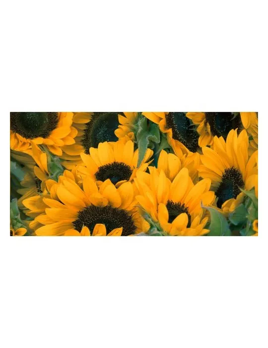 Sproutworld Unsharpened Pencil crayon non taillé