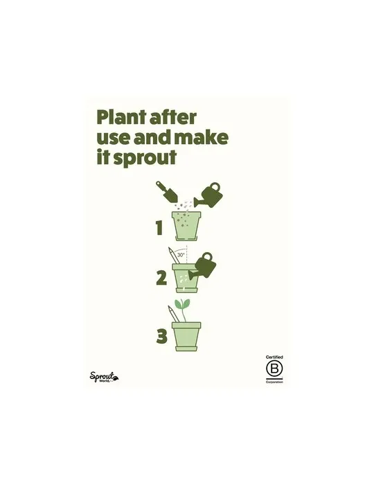 Sproutworld Unsharpened Pencil crayon non taillé