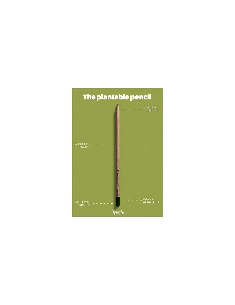 Sproutworld Unsharpened Pencil crayon non taillé