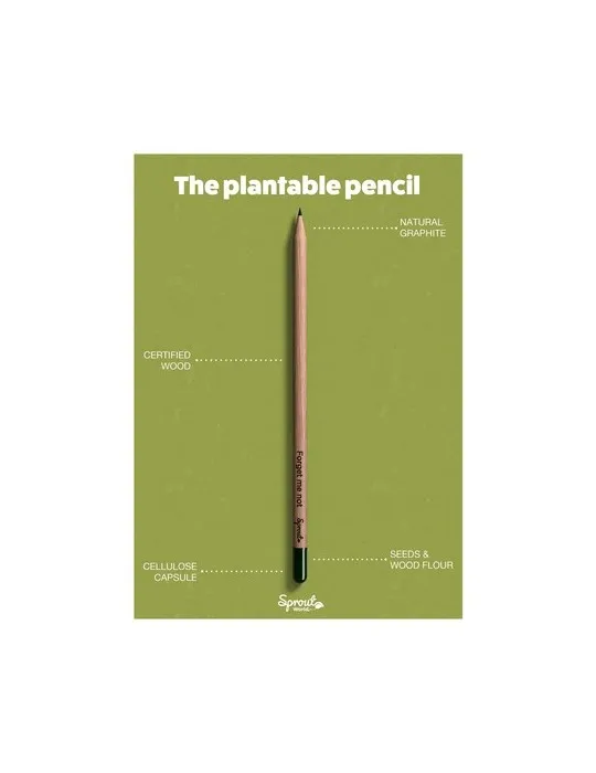 Sproutworld Unsharpened Pencil crayon non taillé