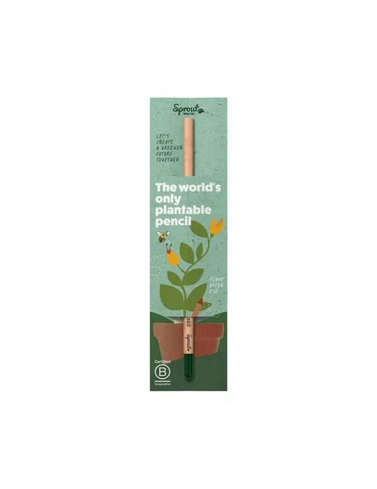 Sproutworld Unsharpened Pencil crayon non taillé