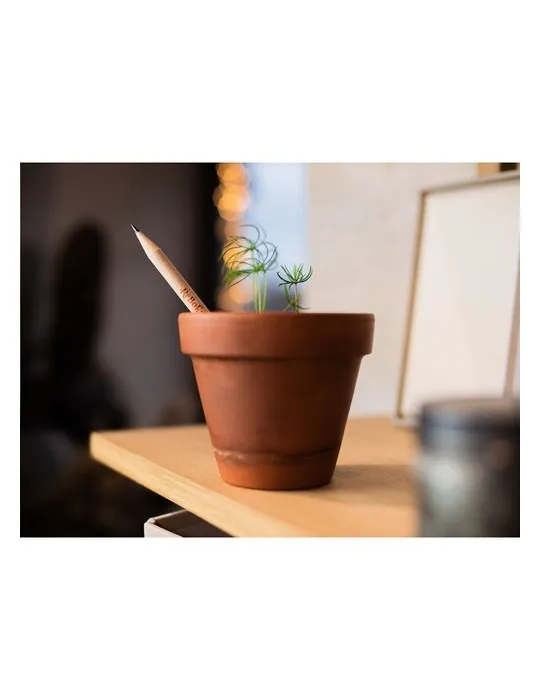 Sproutworld Unsharpened Pencil crayon non taillé