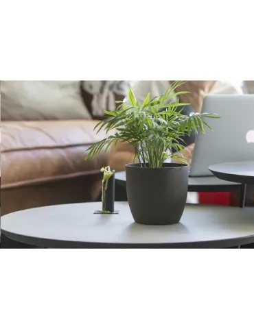 Coffee Flowerpot pot de fleurs 2