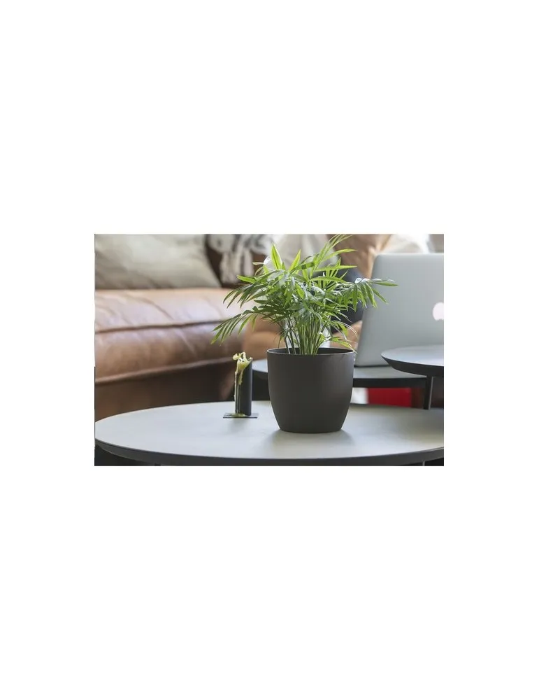 Coffee Flowerpot pot de fleurs