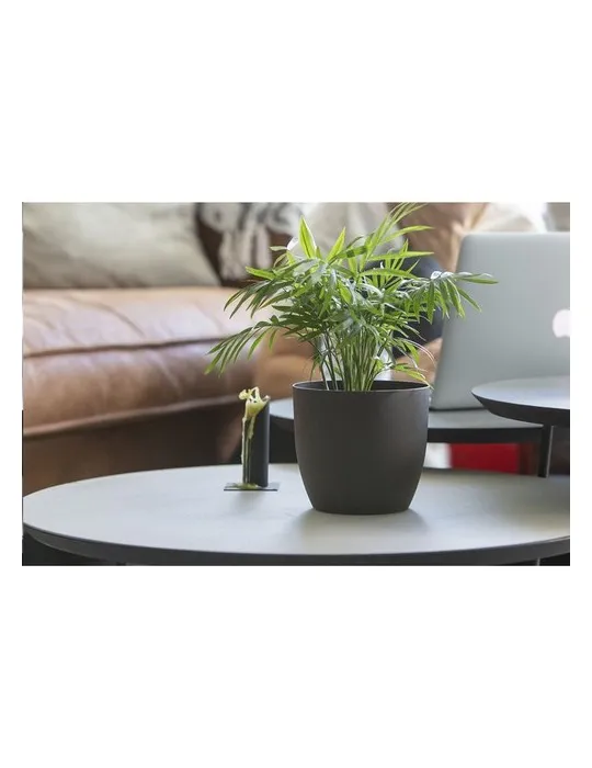 Coffee Flowerpot pot de fleurs