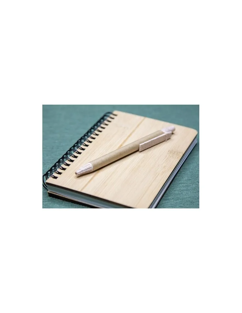 Paper Wheatstraw Pen stylo en paille de blé cadeau collaborateur premium