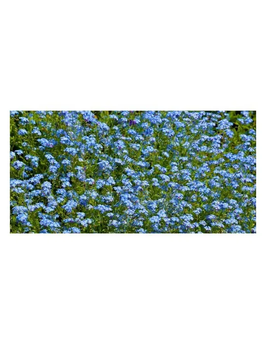 Sproutworld Sharpened Pencil crayon taillé