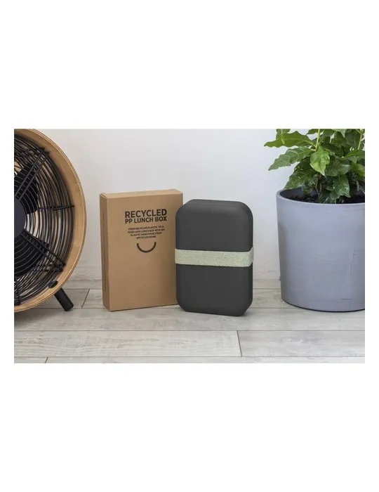 Amuse Recycled PP Lunch Box Large