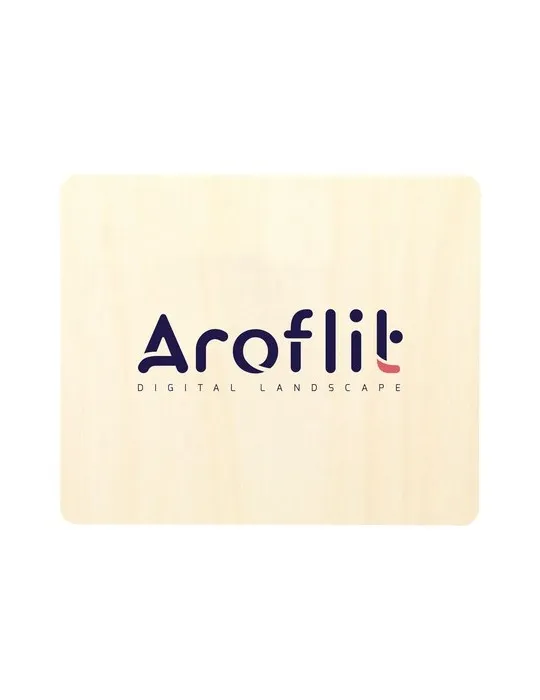 Wood Ice Scraper impression haute définition