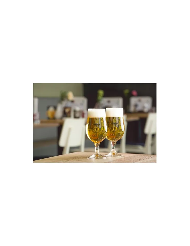 Munich Verre à bière 370 ml