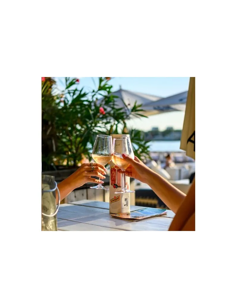 HappyGlass Lady Abigail Verre à Vin Tritan 470 ml impression haute définition