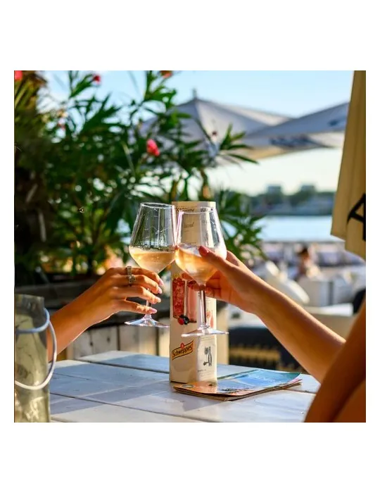 HappyGlass Lady Abigail Verre à Vin Tritan 470 ml impression haute définition