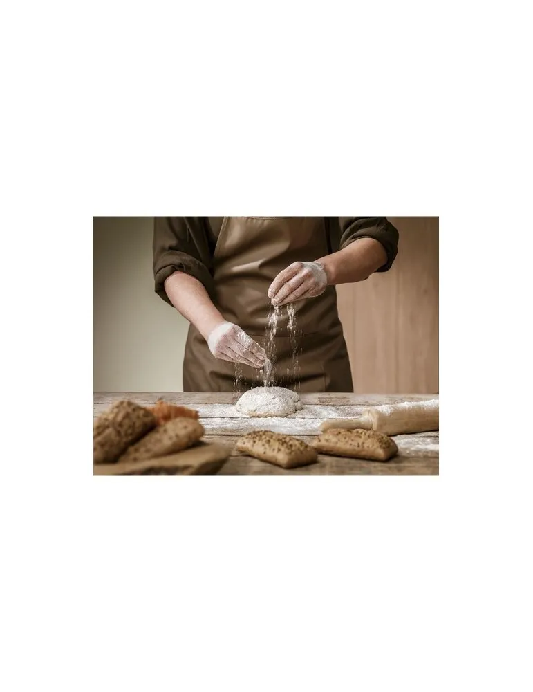 Apron Recycled Cotton (170 g/m²) tablier