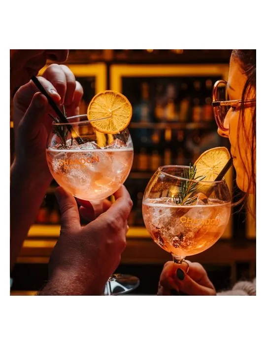 HappyGlass Miss Liza Verre à Gin Tonic Tritan 630 ml cadeau entreprise pas cher