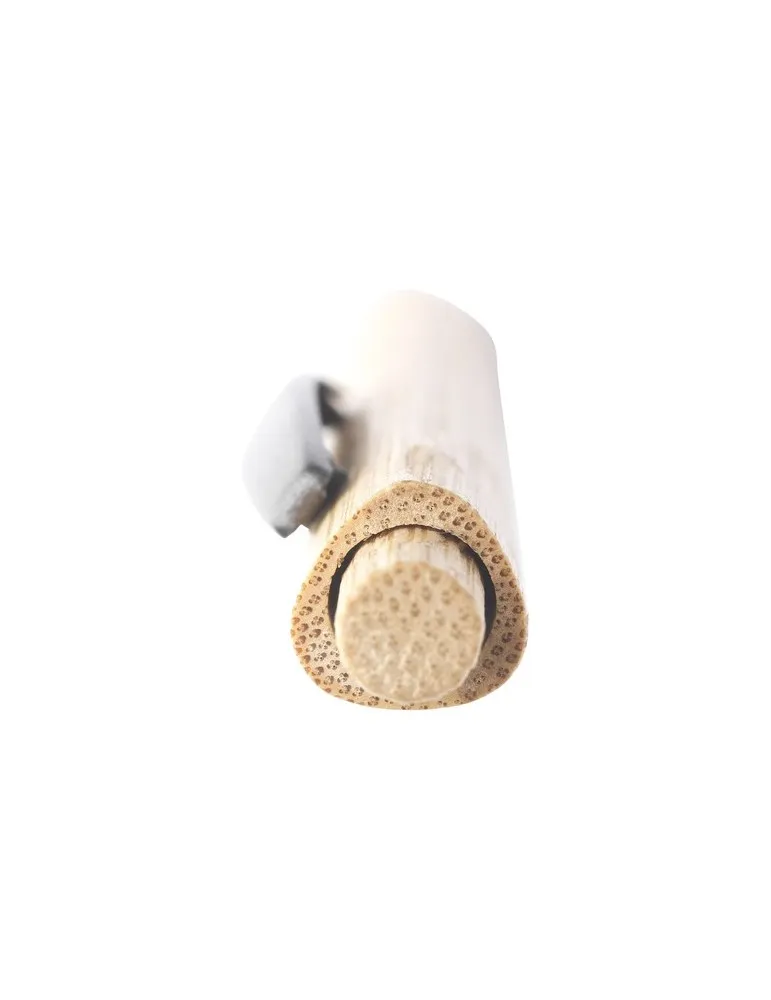 Tokai Bamboo Pen stylo