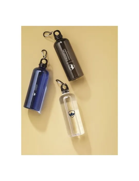 Lewis GRS RPET Bottle 630 ml bouteille