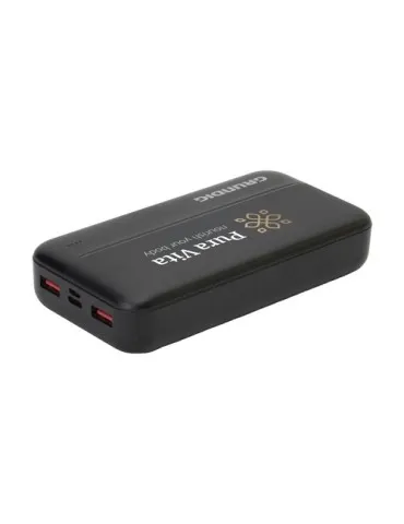 Grundig Powerbank 20000 batterie externe