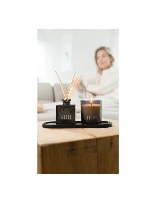 Janzen Home Fragrance Sticks Skin 90 livraison express 24h 48h