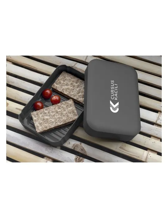 Amuse Recycled PP Lunch Box